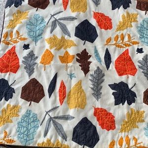 Crate and Barrel 18” x 18” pillow cover!